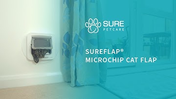 The SureFlap® Microchip Cat Flap