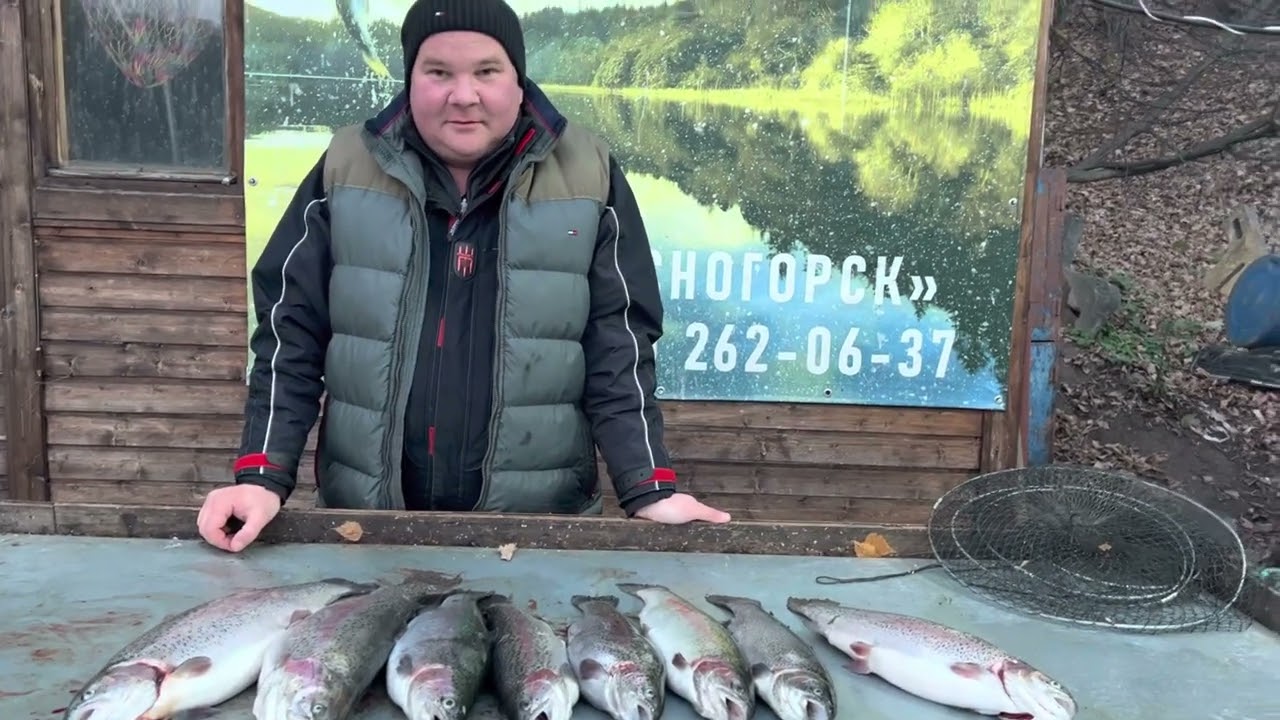 Русфишинг биг карп красногорск | Информационный ресурс о рыбалке
