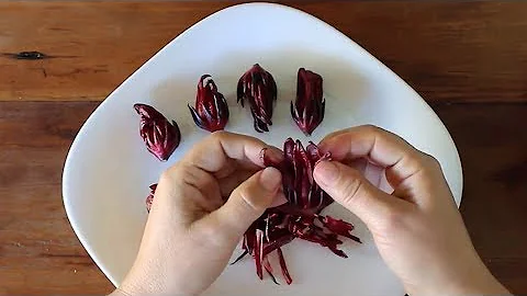 Pode comer a flor de hibisco?