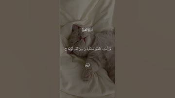 قران الكريم - سورة النصر || القارئ - سعد الغامدي || اذا جاء نصر الله والفتح …