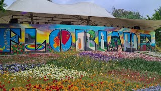 Floriade 2023, Canberra @BestOfFlowersTV @NatGeo @discovery @TravelGuidesAU @australia #flowers