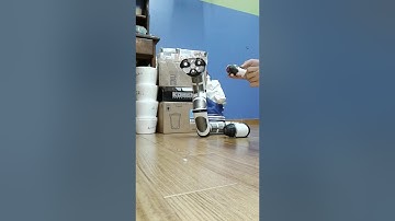 ROBOBOA FACTORY TEST MODE