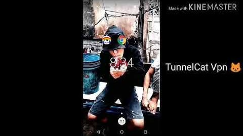 TUNNEL CAT VPN NO LOAD NO PROMO GLOBE & TM