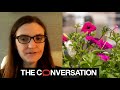 Anosmia, the loss of smell caused by COVID-19, doesn't always go away quickly – but smell training may help