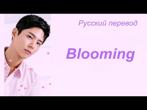 Park Bo Gum ( Пак Бо Гом )- Bloomin' / \