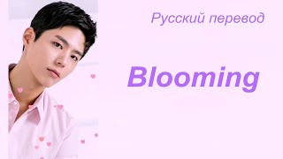 Park Bo Gum ( Пак Бо Гом )- Bloomin' / "Цветение..." РУССКИЙ перевод