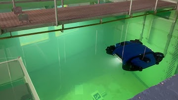 Autonomous Underwater Vehicle Docking