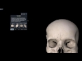 Anatomie de l'os frontal