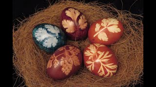 Easter eggs colored with natural dye