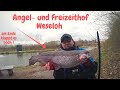 Forellenangeln mit Pose Spoon Angelhof Weseloh Lachsforellen Powerbait Bienenmade Big Trout Fishing