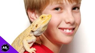What Reptile Pet Is Best For You?! 5 Weird Animal Facts