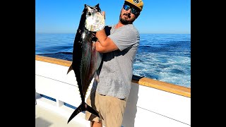 Giant Bluefin Tuna & Yellowtail Trip on the F/V Liberty Fisherman's Landing San Diego Harbor