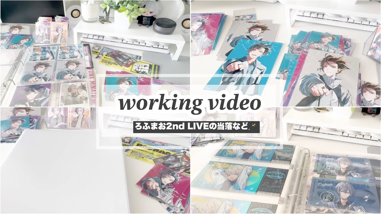 【グッズ収納┊整理】グッズの整理をしていく日🌷最近のことやライブの当落についてもまったりと。【作業用】