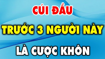 Người Khôn Ngoan Luôn Cúi Đầu Trước 3 Kiểu Người Này - Triết Lý Cuộc Sống