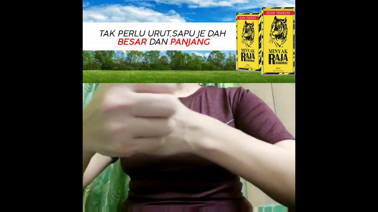 Pakai raja harimau minyak cara Cara Guna