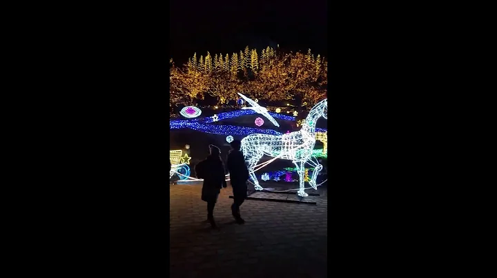 Hiroshima Ken Miyoshi Shi Winter Illumination