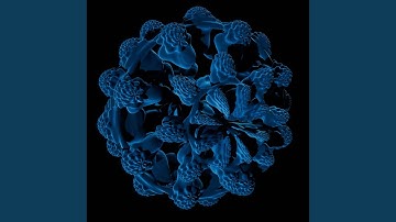 As Microcosm So Macrocosm