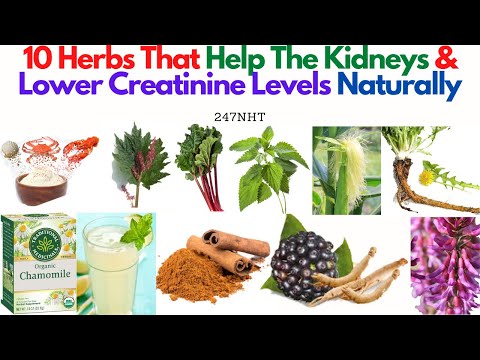 10 Herbs That Help The Kidneys And Lower Creatinine Levels Naturally - 247naturalhealth.com - 247nht