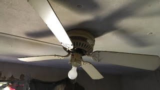 Ceiling Fan Sightings 6
