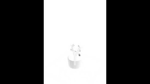 Bonee Tree || Computer Graphics project opengl C++