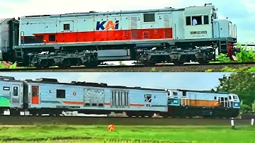 The Train Passes Through the Beautiful Rice Fields - Indonesian Train Videos