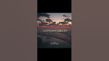 سورة الإسراء -الأية : ٨٢ - القارئ : سعد الغامدي