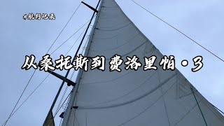 鲸鱼、海豚、诗和远方…完美航行不过如此。【航海的Sudy】