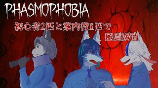 ビビりな3匹で幽霊調査