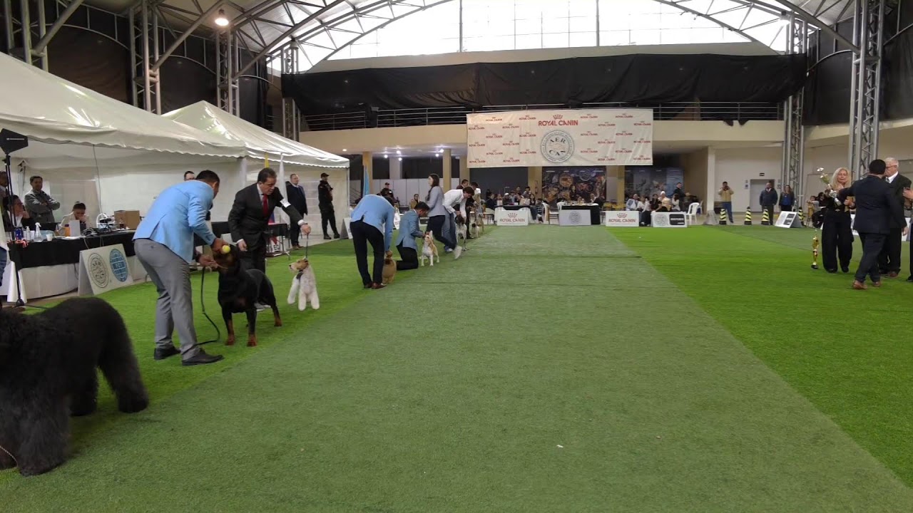 Finales Ranking Aercan 2025