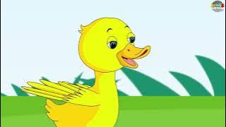 Five Little Ducks | English Rhymes And Kids Song | Annie Mannie Tv