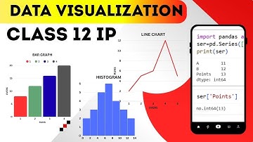 Data Visualization : Line Chart , Bar Chart and Customization | Class 12 IP