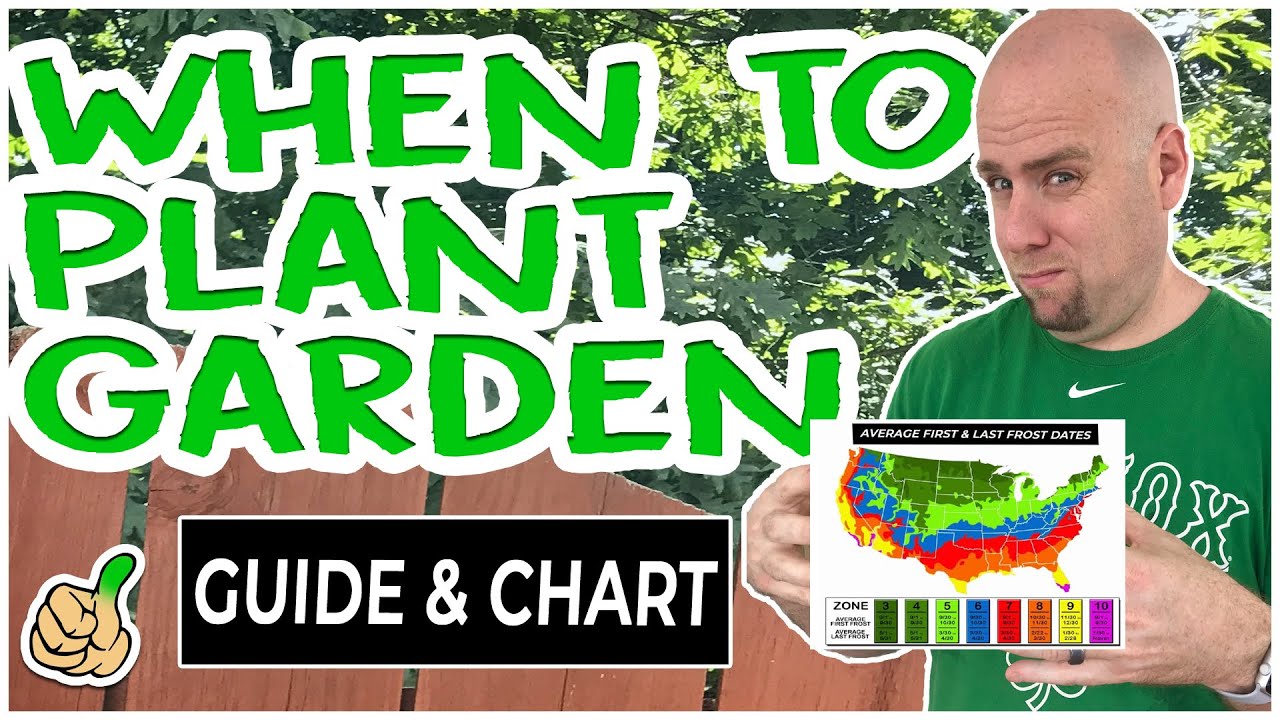 When To Plant A Vegetable Garden [Free Download Guide Incl.]
