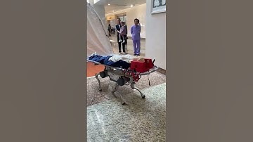 China develops robot dog that carries patients on stretchers