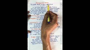 Semester 4: Fabric Structure 18: Honeycomb Weave by K.G.Bhadada