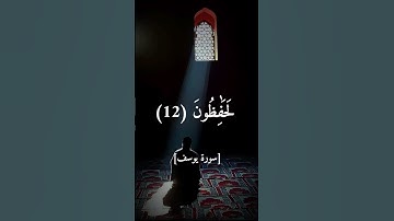 ماشاء الله ❤️ #اكسبلور #لايك #القارئ_يوسف_اشرف