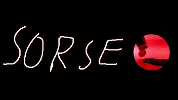 ＡＣＨＩＥＶＥＤ ＷＩＴＨ ＳＯＲＳＥ