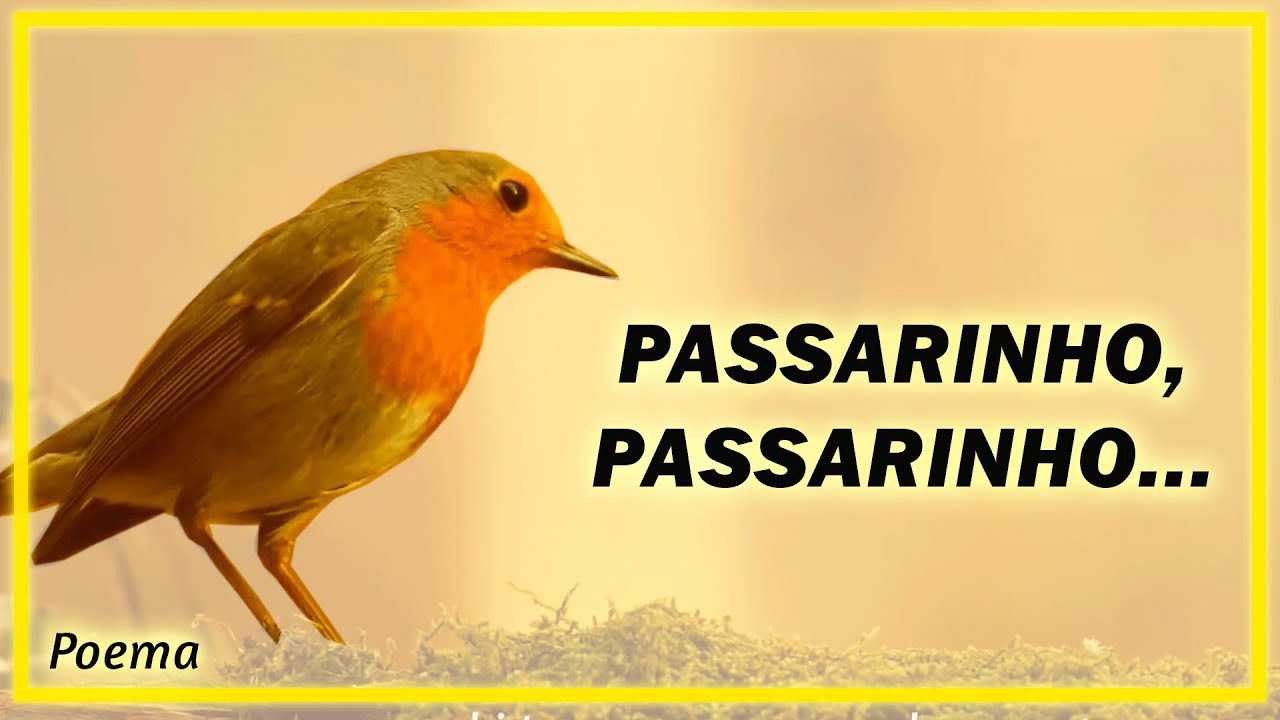 Os Poemas São Pássaros Que Chegam - NAZAEDU