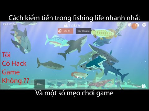 Cách cày tiền fishing life nhanh nhất và một số mẹo chơi game cần biết