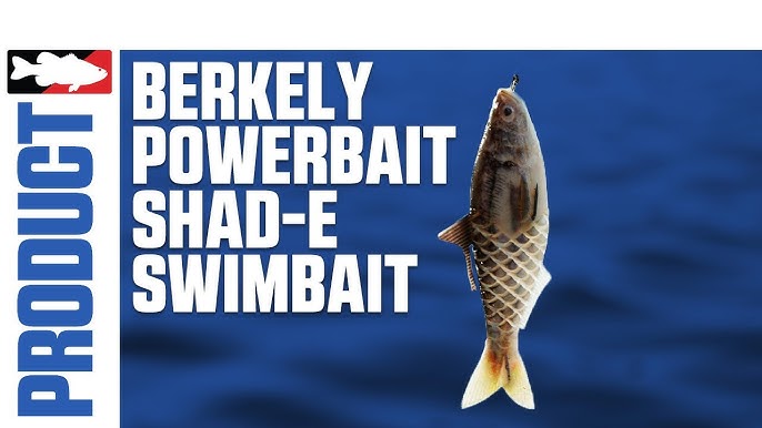 Berkley Powerbait Gilly Swimbait In-Depth with Mike Iaconelli 