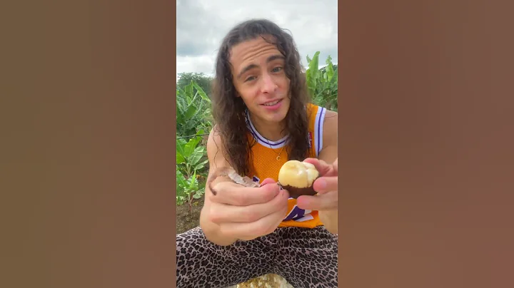 SNAKE FRUIT FROM MIAMIFRUIT