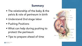 Protect your Perineum for Birth - Understanding 2nd Stage of Labor with Chantal Traub