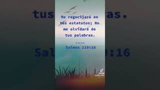 Salmos 119:16