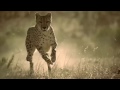 Christopher Walken King Of The jungle