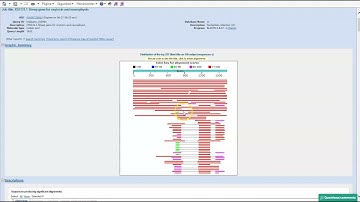 Bioinformática. Blast
