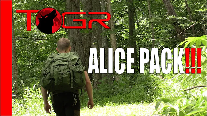 Famous - One and Only - Large ALICE Pack - Review