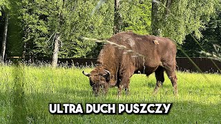 ULTRA DUCH PUSZCZY i niesamowite Podlasie.