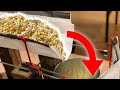 The Popcorn Pouring Machine - Reactica 2019 Official Video