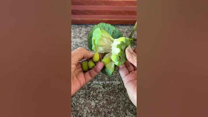 Removing Lotus Seeds this way! 😱 #agriculture #asmrvideo  #shorts #artwork