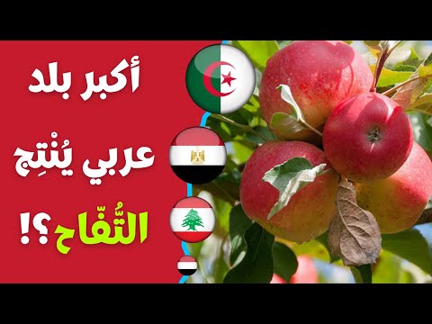 أكبر 10 بلدان عربية من حيث إنتاج التفاح