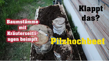 Sind Pilze im Hochbeet giftig?